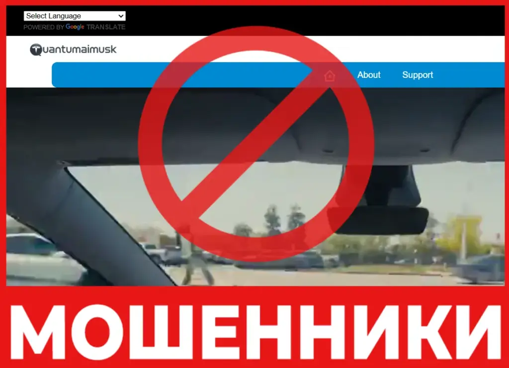 Quantumaimusk лицевая сторона скрин