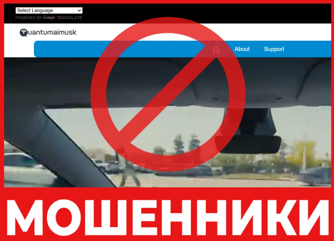 Quantumaimusk лицевая сторона скрин