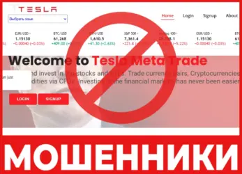 TeslaMetaTrade лицевая сторона скрин