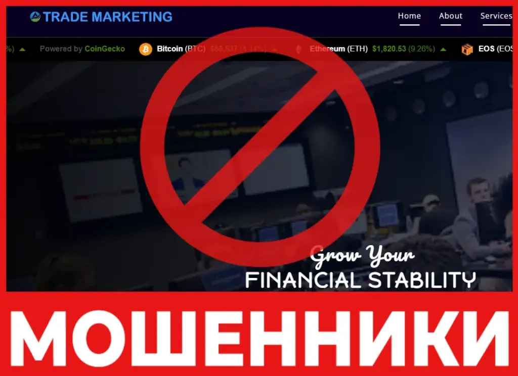 Trademarketing лицевая сторона скрин