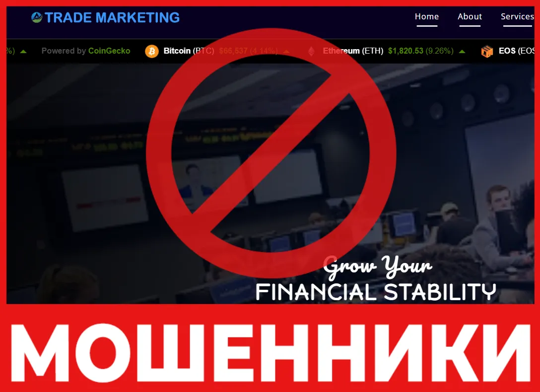 Trademarketing лицевая сторона скрин