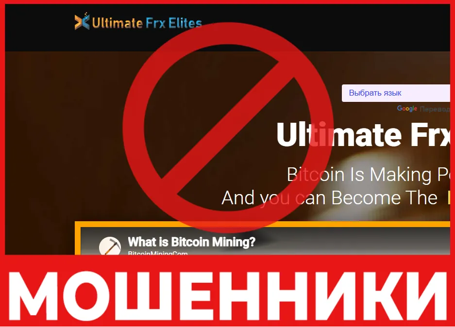Ultimate Frx Elites лицевая сторона скрин