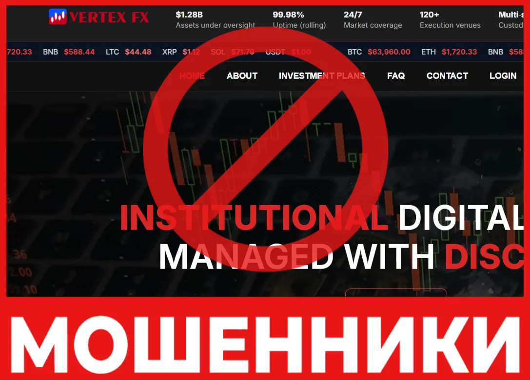 Vertex FX лицевая сторона скрин