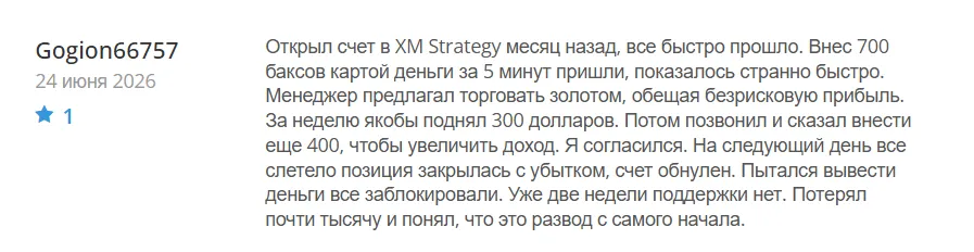 XMstrategy_1 скрин