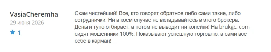 Brukgc_1 скрин