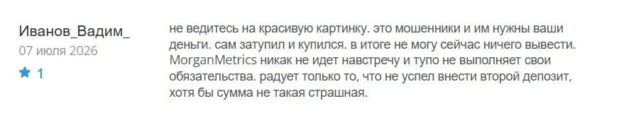 Morgan Metrics_1 скрин