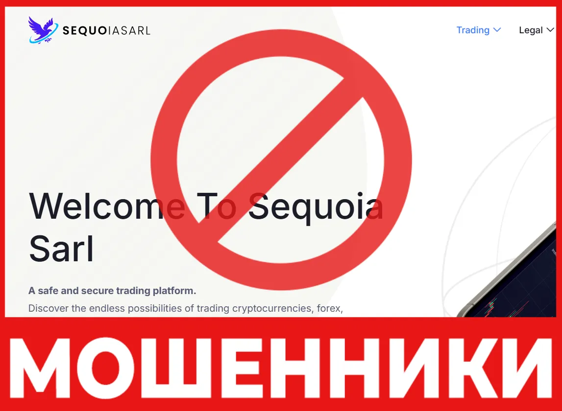 Sequoia Sarl лицевая сторона скрин