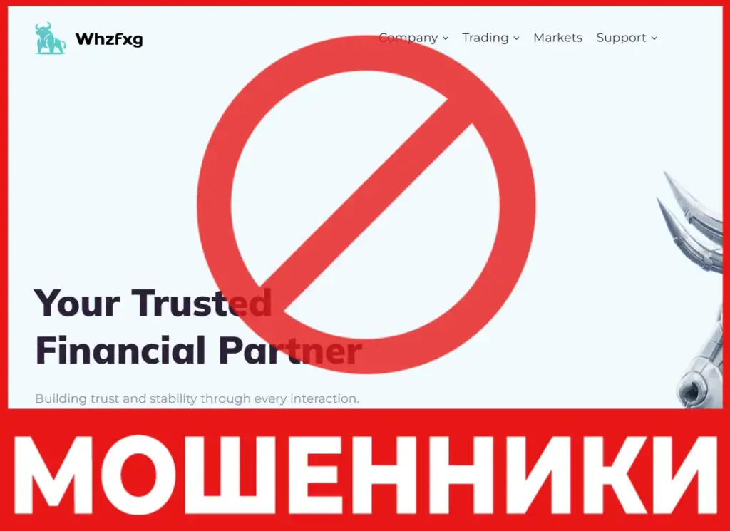 Whzfxg лицевая сторона скрин