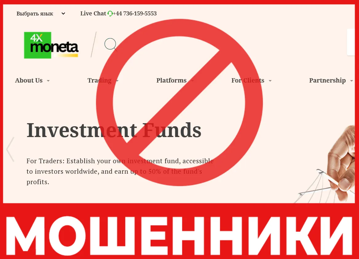 4xmoneta лицевая сторона скрин