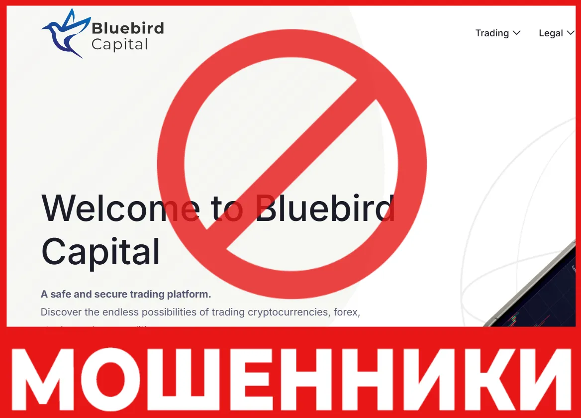 Bluebird Capital лицевая сторона скрин