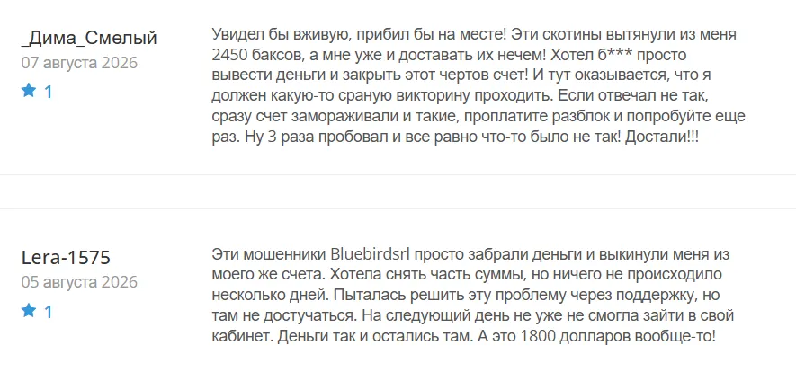 Bluebird Capital_1 скрин