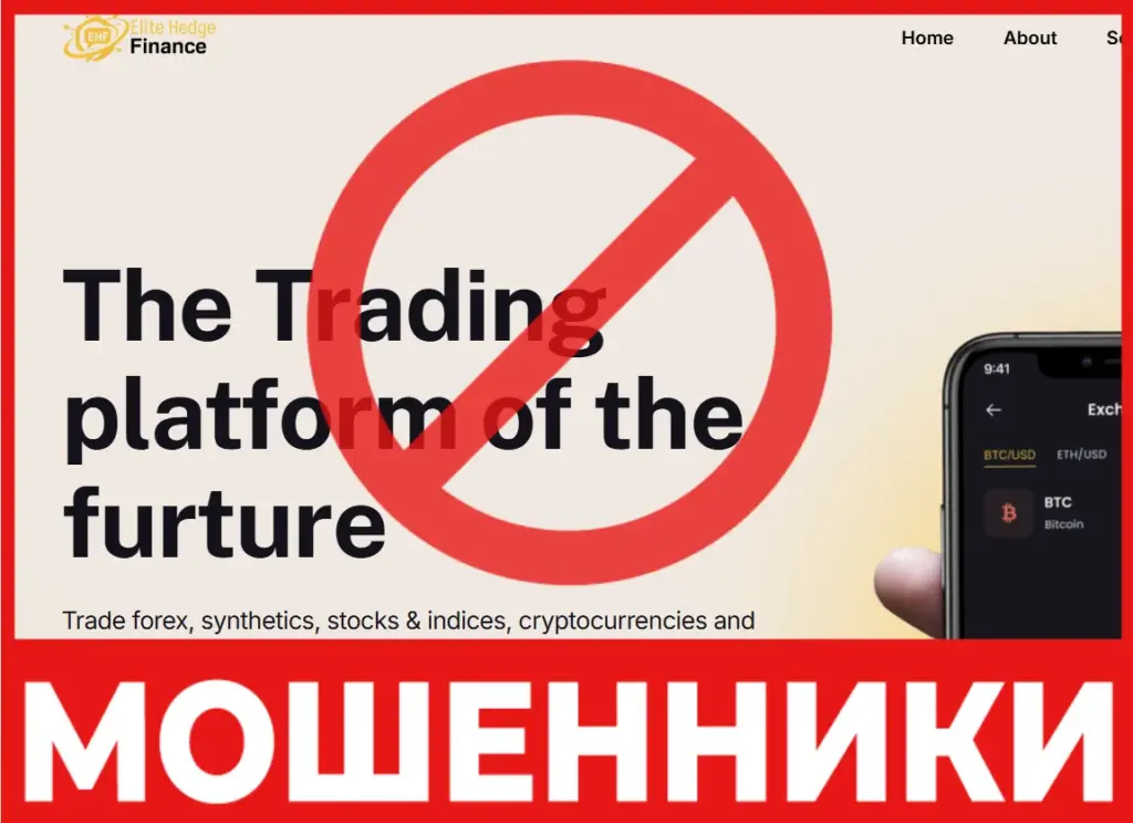 Elite Hedge Finance Fx лицевая сторона скрин