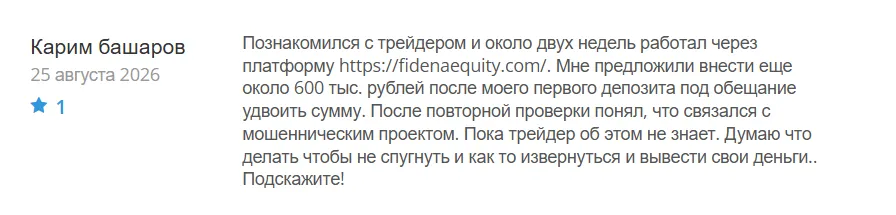 Fidena Equity_1 скрин