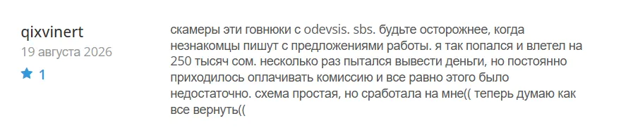 Odevsis_1 скрин