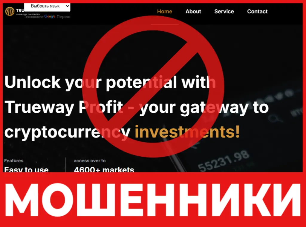 TruewayProfit лицевая сторона скрин