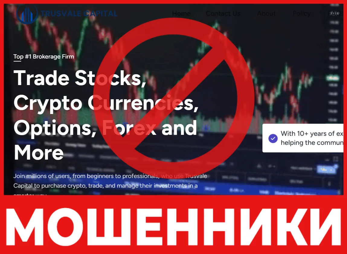 Trusvale Capital лицевая сторона скрин