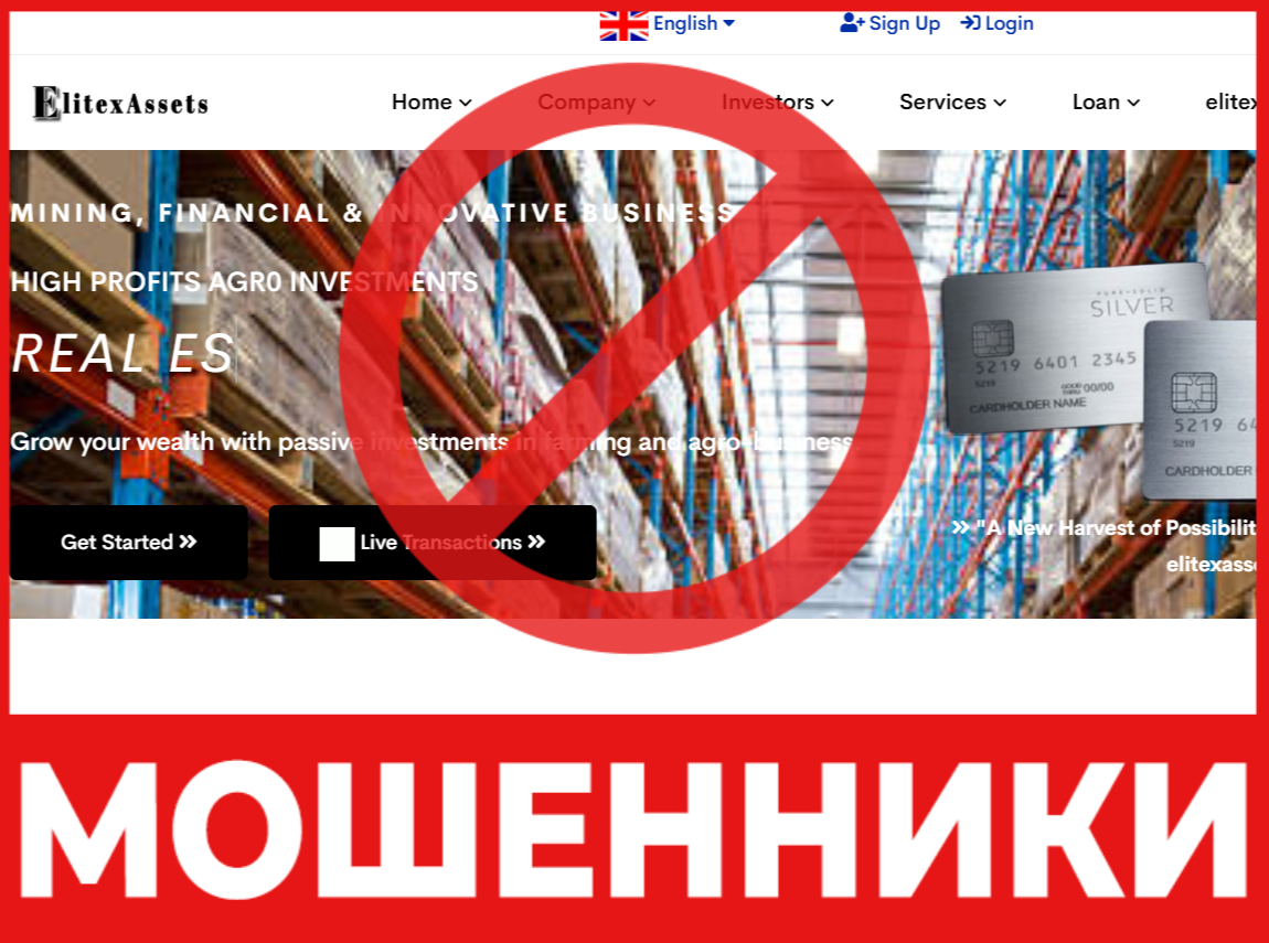 ElitexAssets лицевая сторона скрин