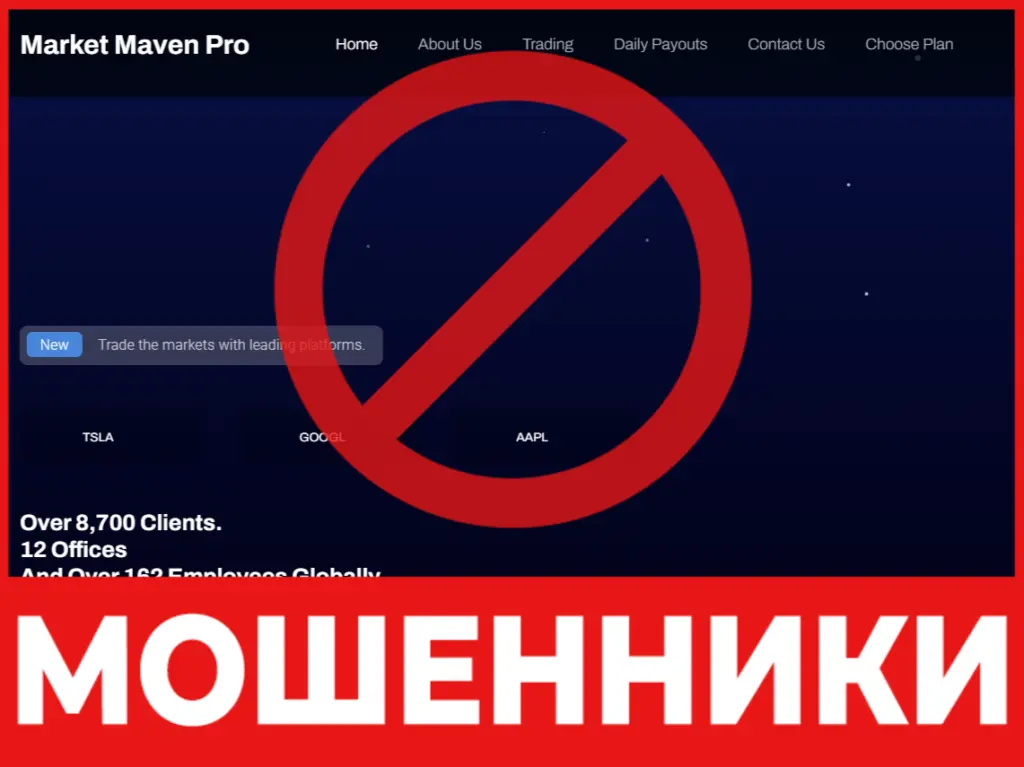 Marketmavenpro лицевая сторона скрин