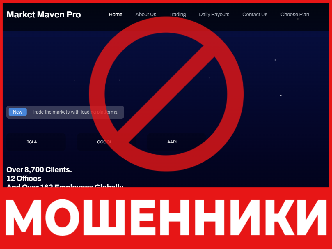 Marketmavenpro лицевая сторона скрин