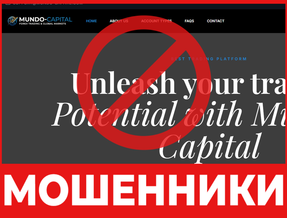 Mundo Capital лицевая сторона скрин