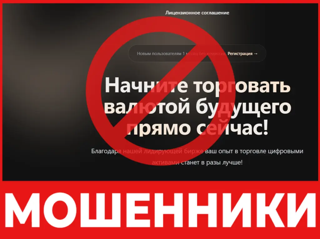 Oxoentry лицевая сторона скрин