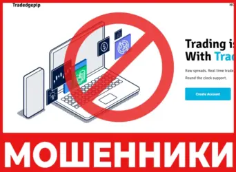 Tradedgepip лицевая сторона скрин
