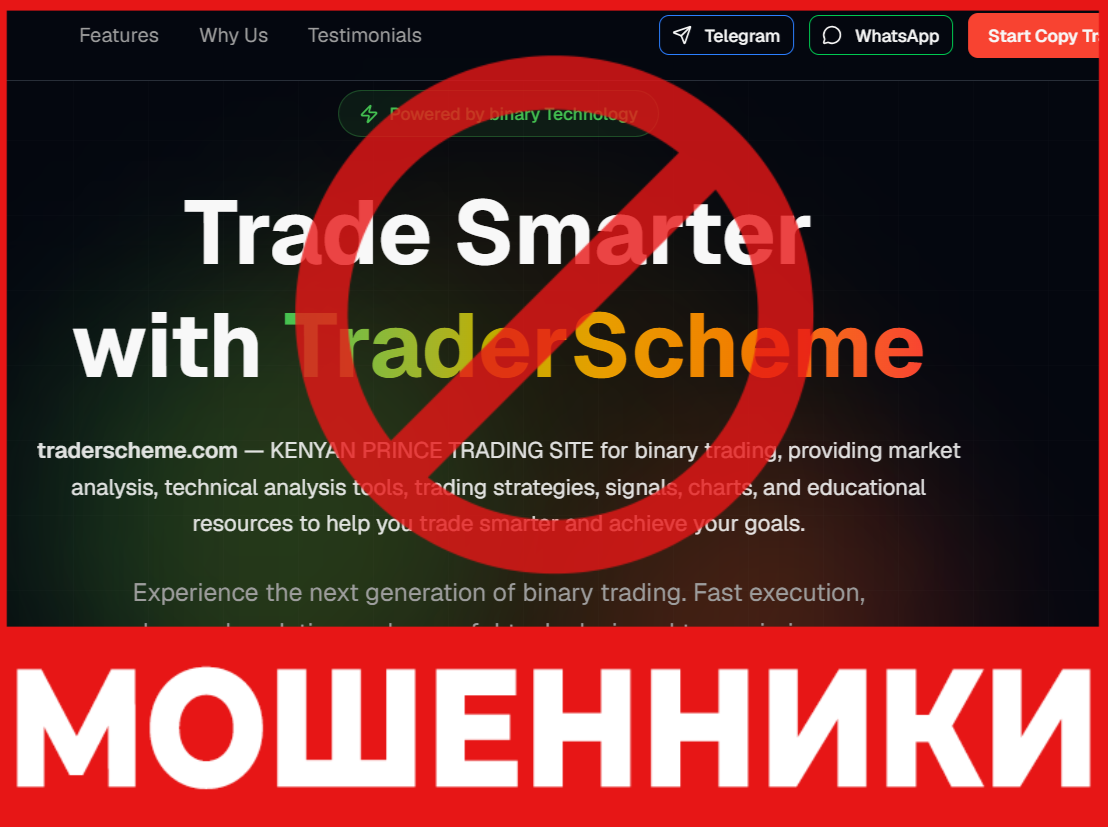 TraderScheme лицевая сторона скрин