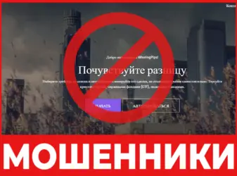 WinningPips лицевая сторона скрин
