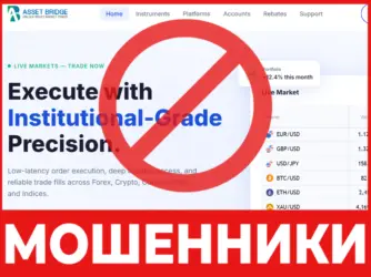 Asset Bridge лицевая сторона скрин