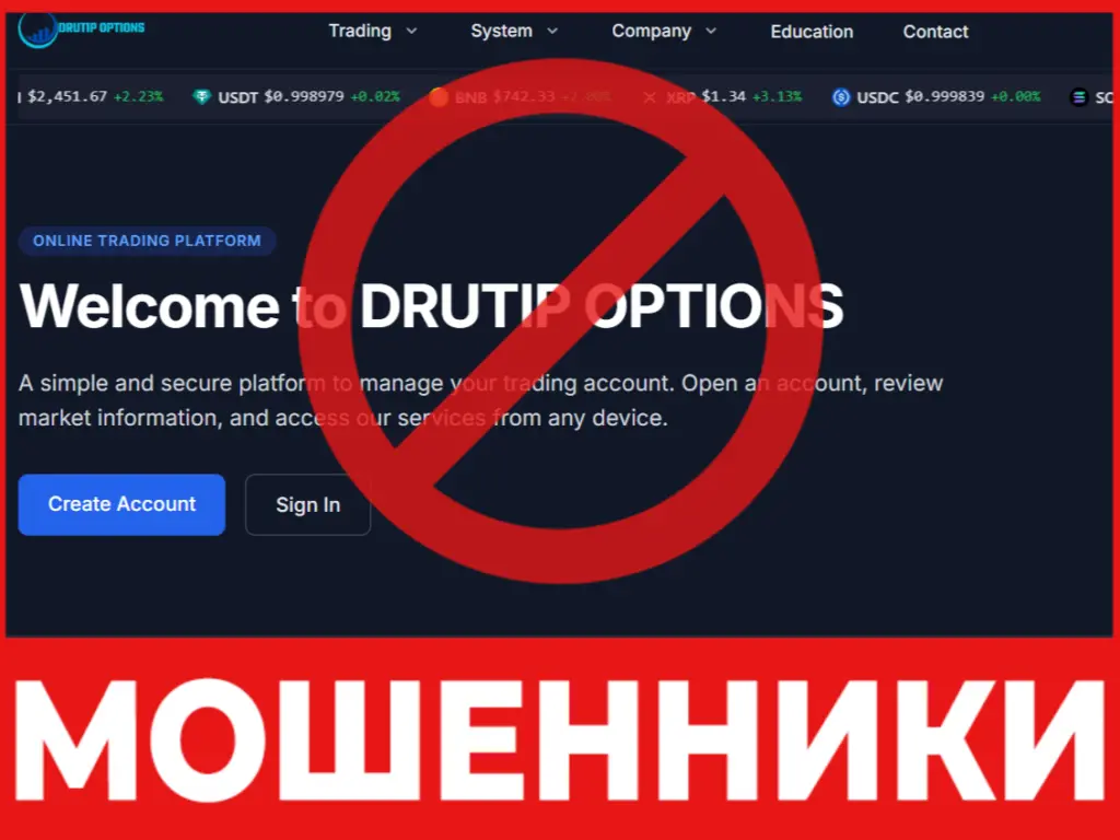 Drutip Options лицевая сторона скрин