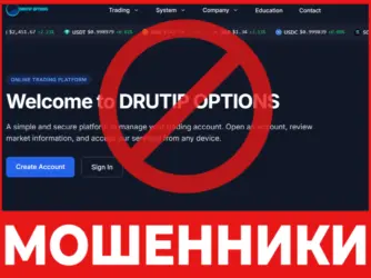 Drutip Options лицевая сторона скрин