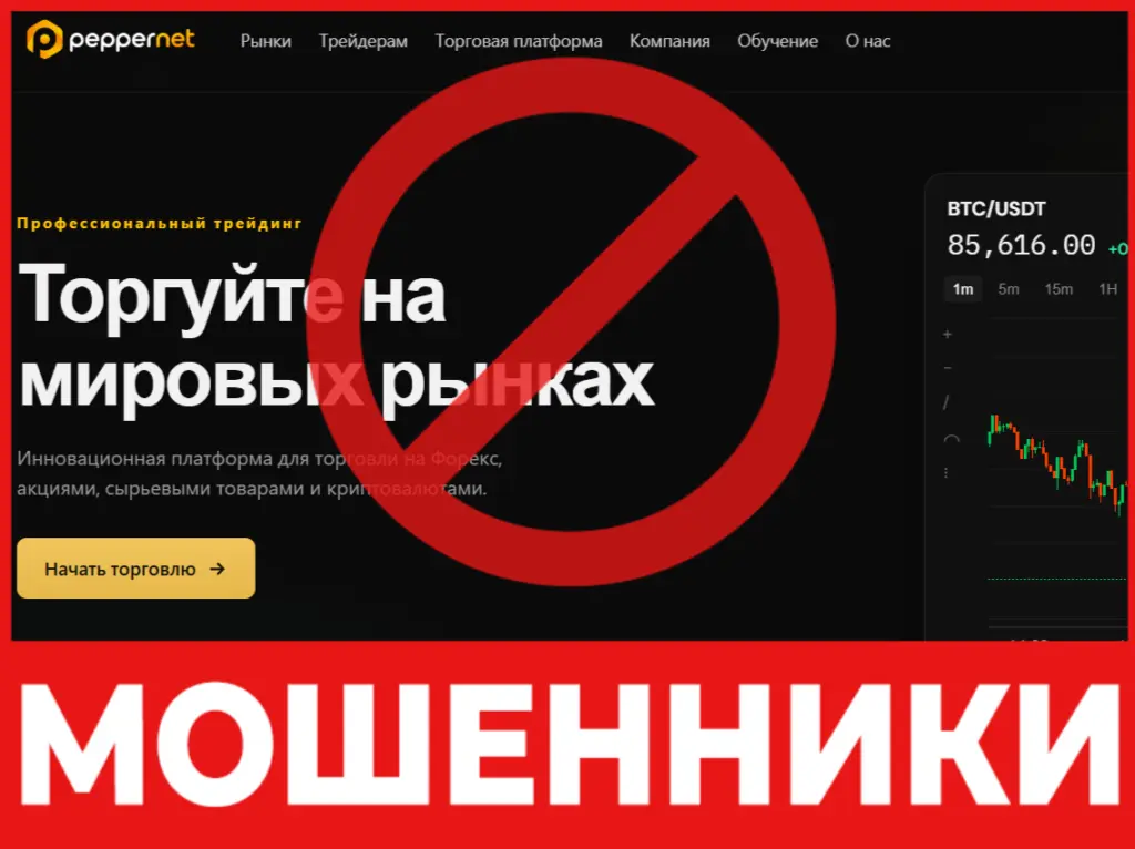 PepperNet Ltd лицевая сторона скрин