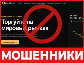 PepperNet Ltd лицевая сторона скрин
