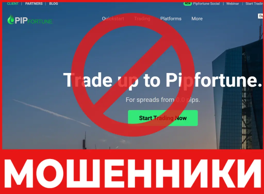 Pipfortune лицевая сторона скрин