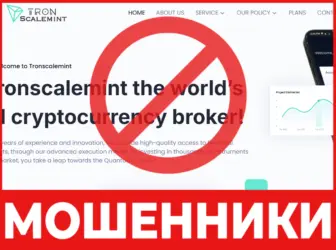 Tronscalemint лицевая сторона скрин