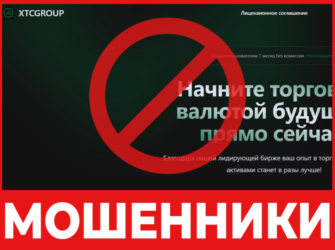 XTCGROUP лицевая сторона скрин