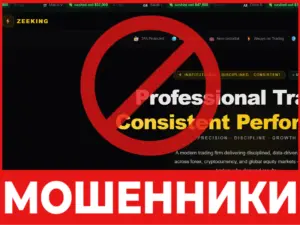ZEEKING лицевая сторона скрин